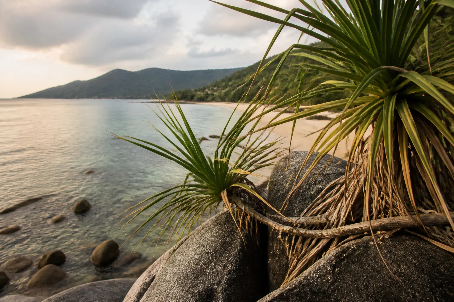Atmosphere and detail: Thong Nai Pan
